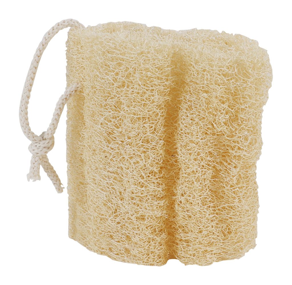 Loofah svamp