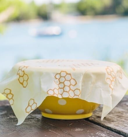 Bees wrap picnic